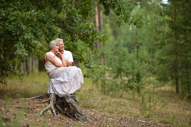 Pěkný starší pár sedí v letním parku - Fotografie, Obrázek