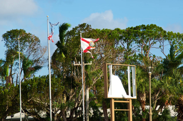 The remains of shredded US and Florida State flags blow in the wind in the aftermath of Hurricane Irma in 2017 - Photo, Image