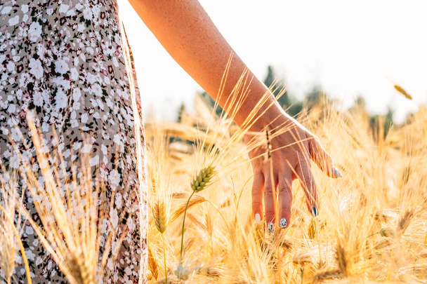 Woman hand touching golden wheat. Harvesting concept - Foto, Bild