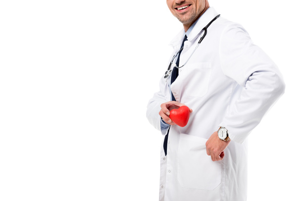 bijgesneden weergave van lachende doctor in de witte jas met stethoscoop hart model in de hand te houden geïsoleerd op wit, hart gezondheidszorg concept - Foto, afbeelding