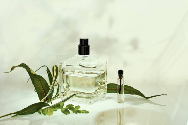 Botella de perfume y sampler con plantas sobre un fondo verde natural. Enfoque selectivo. Colección de perfumería, cosméticos
 - Foto, Imagen