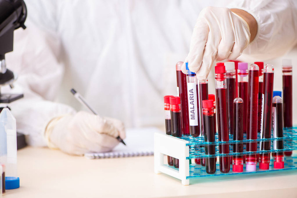 Jeune assistant de laboratoire beau tester des échantillons de sang à l'hôpital  - Photo, image