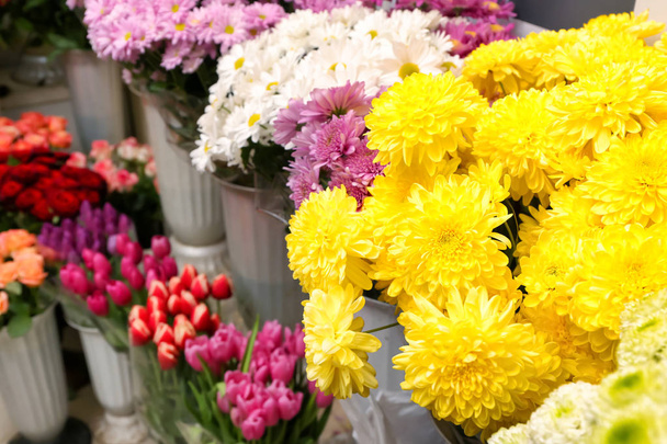 Various beautiful flowers in shop - Valokuva, kuva