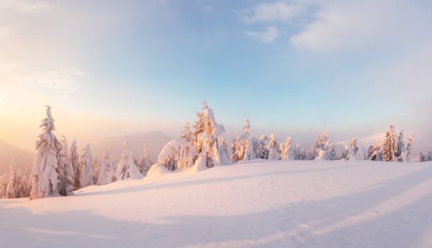 Fantastic orange winter landscape in snowy mountains glowing by sunlight. Dramatic wintry scene with snowy trees. Christmas holiday concept. Carpathians mountain, Ukraine, Europe - 写真・画像