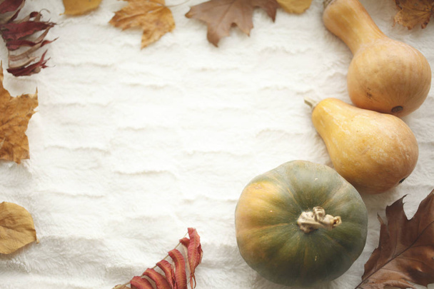 Different pumpkins and dry leaves. Autumn holidays background, thanksgiving - Zdjęcie, obraz
