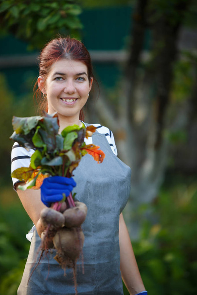Image of young woman with beetroot in garden - Photo, image