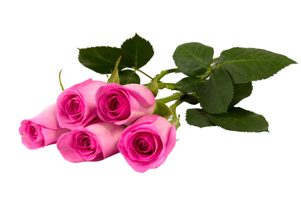 Five pink roses - Φωτογραφία, εικόνα