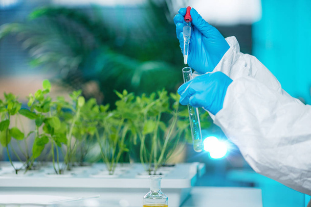 Биолог исследует пестициды в лаборатории растений
 - Фото, изображение