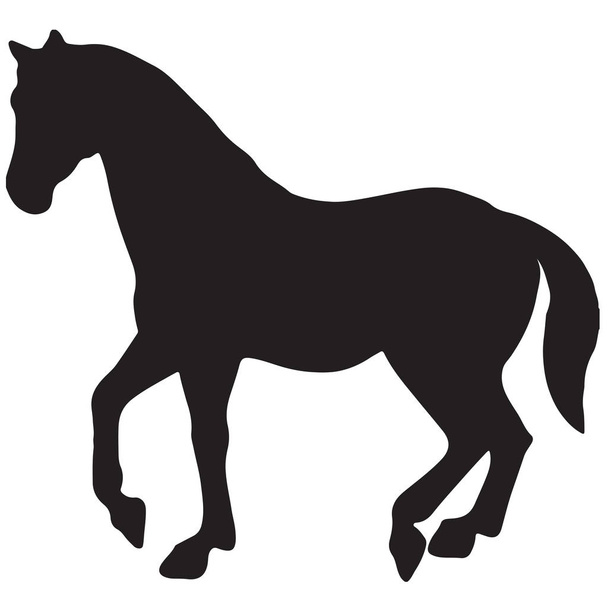 allevamento cavallo fine silhouette vettoriale e contorno - graziosi stalloni neri
 - Vettoriali, immagini