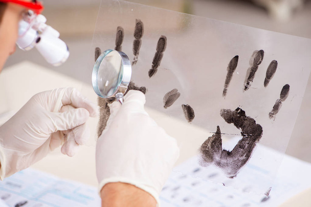 研究室で指紋を研究する法医学の専門家 - 写真・画像