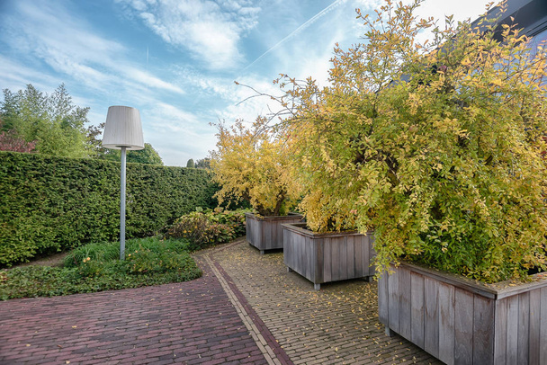 Apple trees in the autumn in gigantic wooden crates with a huge twilight lamp as lighting somewhere in a garden in the Netherlands - Photo, Image