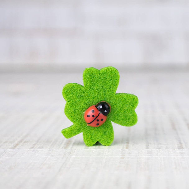 Four leaf clover with lady bug - Photo, Image