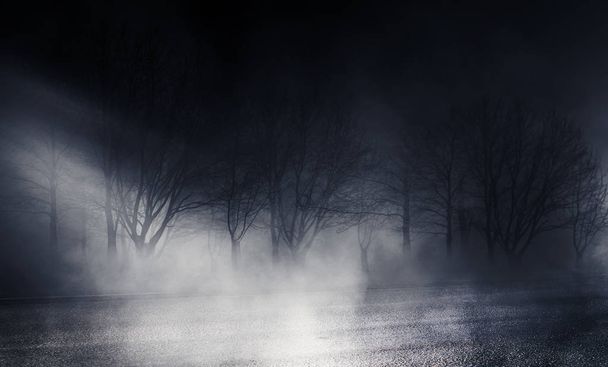 Tle pustej ulicy w nocy. Asfalt, autumn drzewa, moonlight, odbicie, dym, mgła - Zdjęcie, obraz