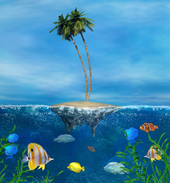 trópusi, korallzátonyos - Fotó, kép