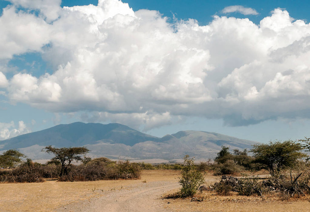 Ngorogoro údolí v Tanzanii - Fotografie, Obrázek