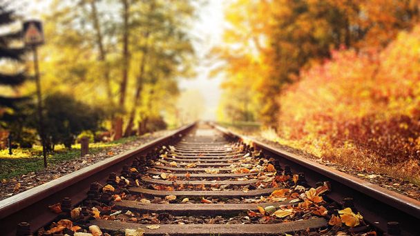 Πολύχρωμα, φύλλα του φθινοπώρου πέφτουν σε σιδηροδρομικές γραμμές - Φωτογραφία, εικόνα