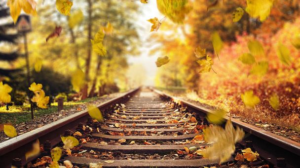 Colorful, autumn leaves falling down on railway tracks - Valokuva, kuva
