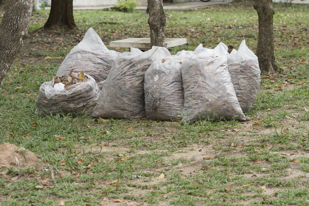 Hojas de limpieza de otoño, montón de bolsas de basura blancas completas en la hierba en el parque, hojas en la basura bolsa
 - Foto, Imagen