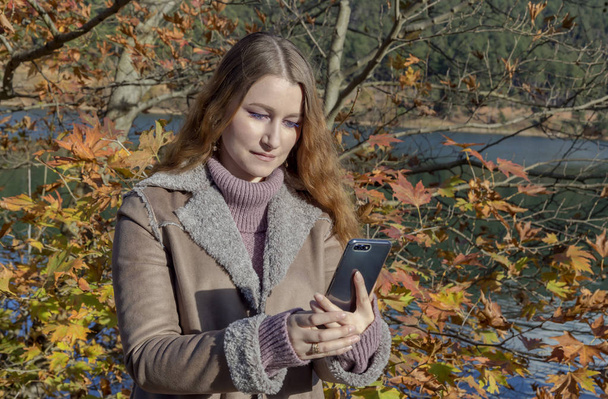 Fiatal gyönyörű nő, a telefon a kezében a háttérben, az őszi erdő egy napsütéses napon a közeli - Fotó, kép