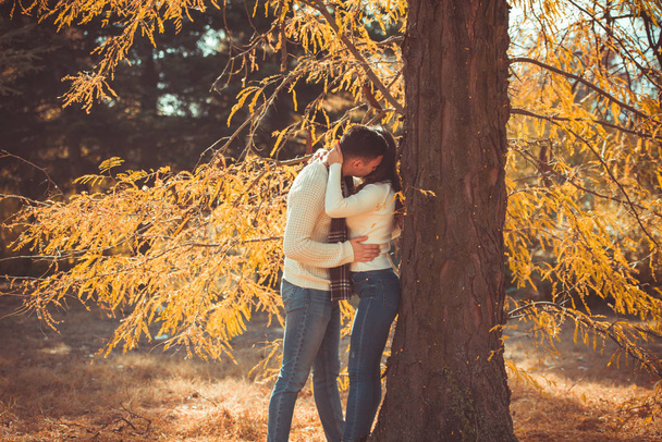 Piękna para jest w parku, stojąc obok drzewa z żółtymi liśćmi, całują się i przytulają - Zdjęcie, obraz