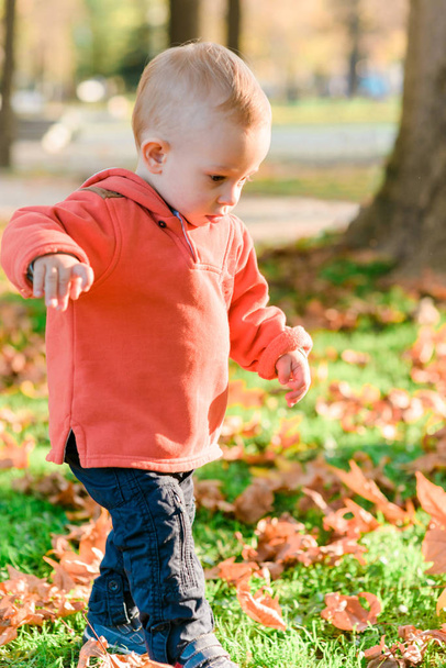 Criança dando os primeiros passos em um parque
 - Foto, Imagem