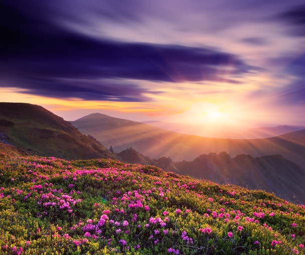 Hermosa puesta de sol en la primavera en las montañas - Foto, Imagen