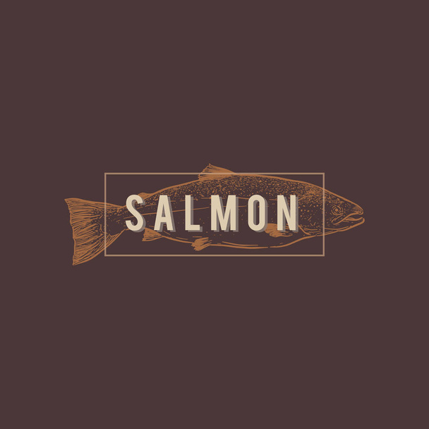Dibujo dibujado a mano vector de mariscos ilustración vintage de pescado de salmón
.  - Vector, imagen