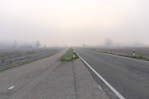 Сторона асфальтової дороги в туманний день між сільськогосподарськими полями. Під'їзд автомобіля на відстані і дерева ледве видно в густому тумані
 - Фото, зображення