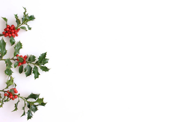 Рождественский холли Ilex аквифолиум изолирован на белом фоне стола. Вечнозеленые листья с красными ягодами. Пустое место для праздничного текста. Декоративная цветочная рамка, веб-баннер. Плоский, вид сверху
. - Фото, изображение
