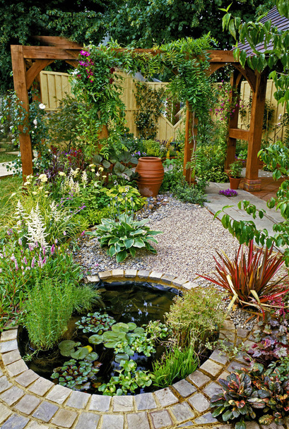 Grind tuin met zwembad en aantrekkelijke planten - Foto, afbeelding