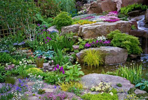 Kaunis Alpine Water Garden värikäs istutus
 - Valokuva, kuva