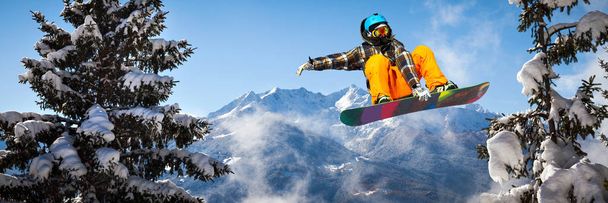 snowboardista na stromech  - Fotografie, Obrázek