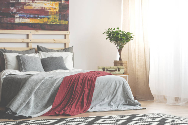 Red blanket on grey wooden bed in bedroom interior with painting and plant on table. Real photo - Фото, зображення