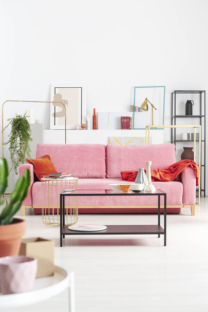 Close-up de uma planta e vaso com um sofá rosa, mesa de café e prateleiras no fundo
 - Foto, Imagem