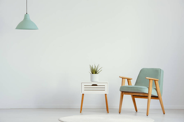 Plant on cabinet next to green wooden armchair in flat interior with lamp and copy space. Real photo - Photo, image