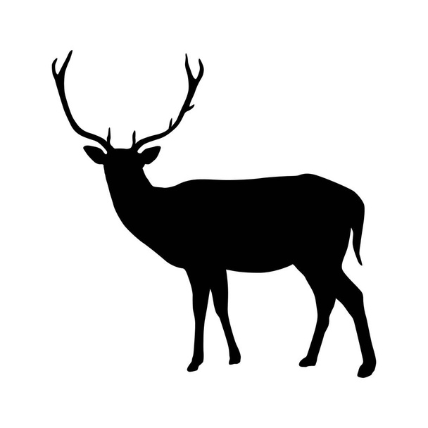 Cervo con corna sagoma isolata su sfondo bianco vettoriale
 - Vettoriali, immagini