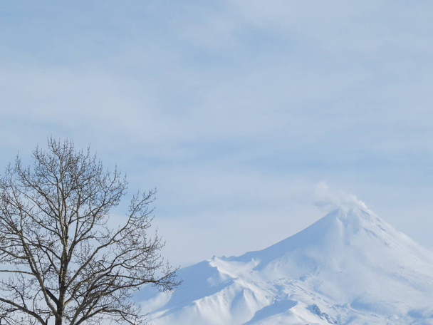 美しい冬のカムチャッカ半島火山の風景: 日の出噴火アクティブ Klyuchevskoy 火山のビュー. - 写真・画像