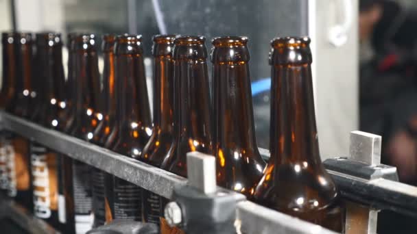 Lege flessen staan in de rij op een technologische regel aan bier fabriek. Flessen verplaatsen op transportband op fles glasfabriek. 4k - Video