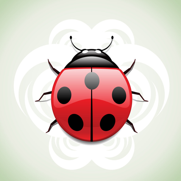 ladybug. - Vector, Image