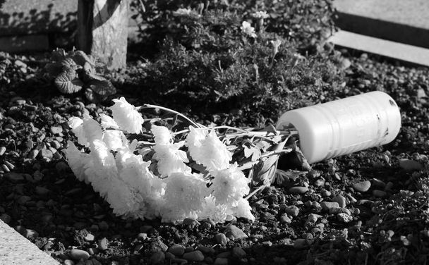 mustavalkoinen kuva kaatuneesta maljakosta, jossa on valkoisia kukkia hautausmaalla
 - Valokuva, kuva
