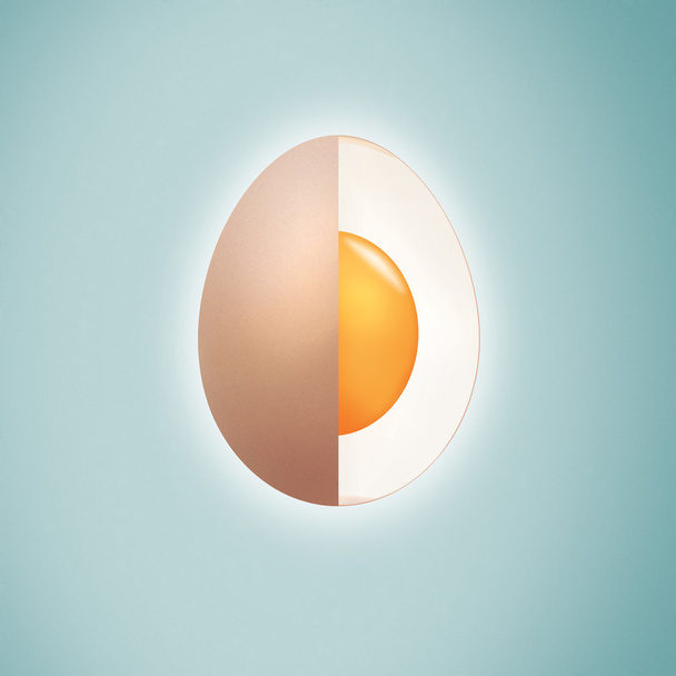 Egg cross section. - Fotografie, Obrázek