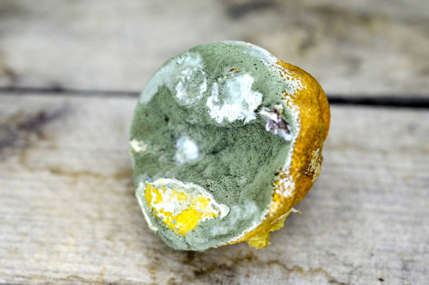limone marcio, agrumi immagine di un
 - Foto, immagini