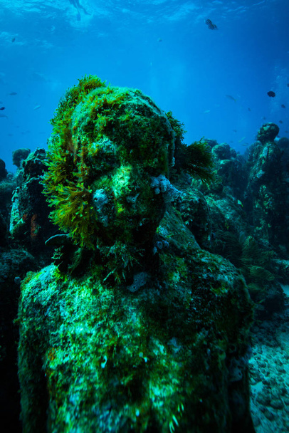 underwater picture of stone statues on ocean bottom - Fotografie, Obrázek