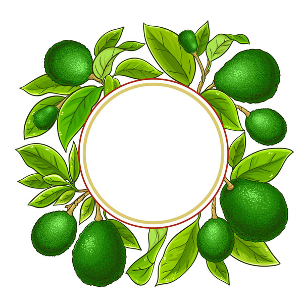 avocado vector frame on white background - Vektor, Bild