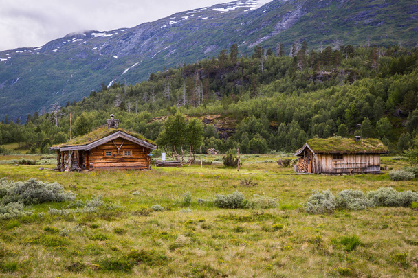 Norwegian house with grass roof - Фото, зображення