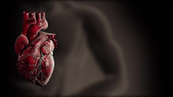 Καρδιά και καρδιά κτύπησε παλμό βίντεο για ιατρικές εφαρμογές και ιστότοπους. - Πλάνα, βίντεο