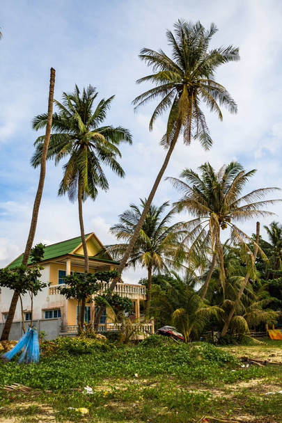 House near palm trees in Thailand - Foto, afbeelding