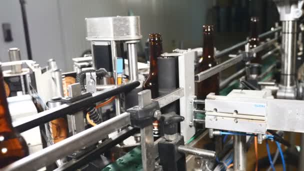 Az élelmiszeripar számára. Automatikus a sör palackozás végrehajtás vonal. A címke alkalmazása. Gép beillesztés címkék üveg sört. 4k - Felvétel, videó