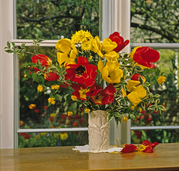 Tulipanes rojos y amarillos en un jarrón blanco junto a una ventana de jardín
 - Foto, imagen