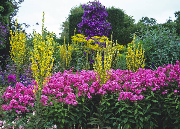 Πολύχρωμο λουλούδι ποώδη σύνορα μέσα σε έναν κήπο της χώρας   - Φωτογραφία, εικόνα